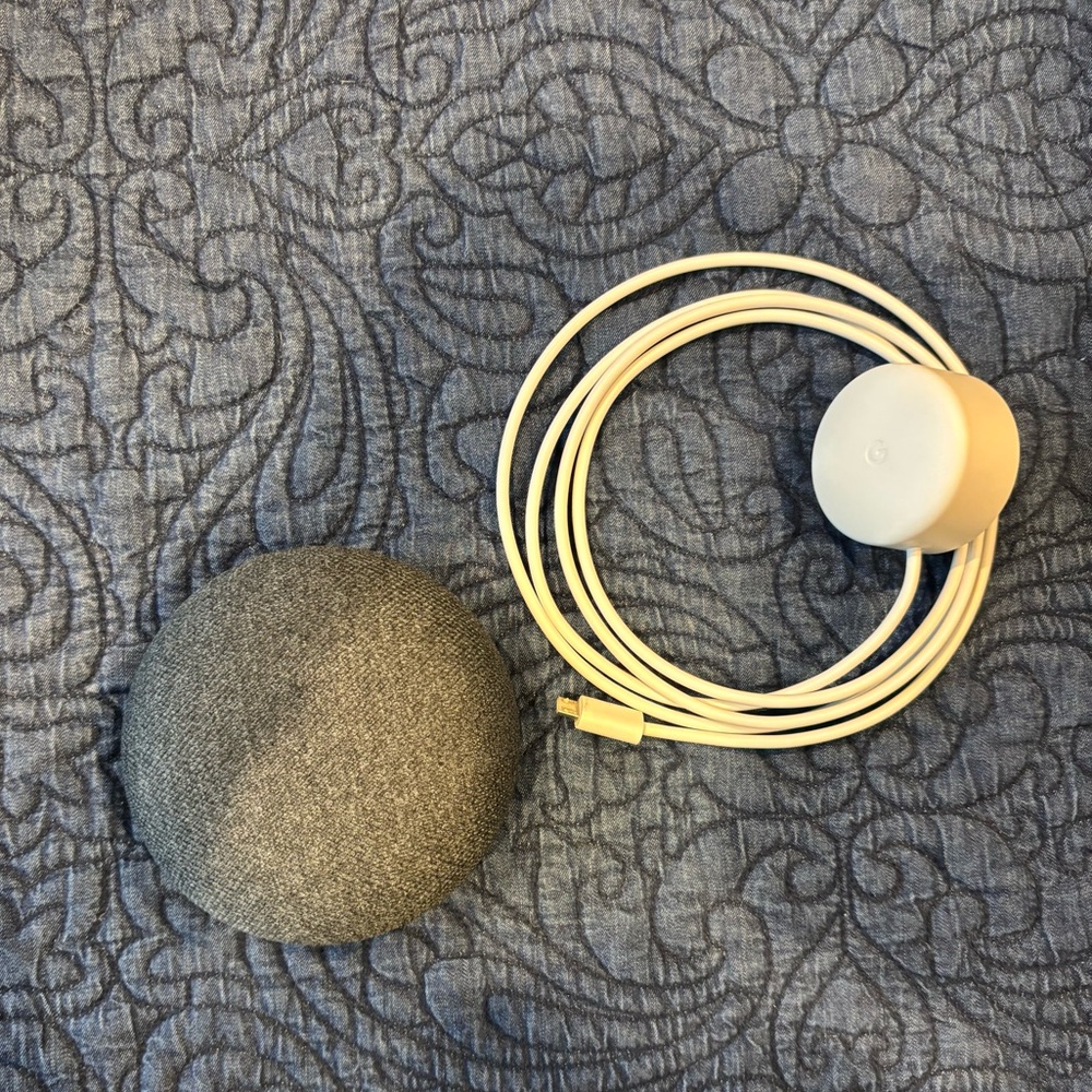 Google Nest Mini Speaker in Gray